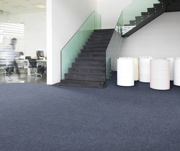 Mochetă Xeno Albastru 5539 - Pro Confort Carpet Mochetă Xeno Albastru 5539 3