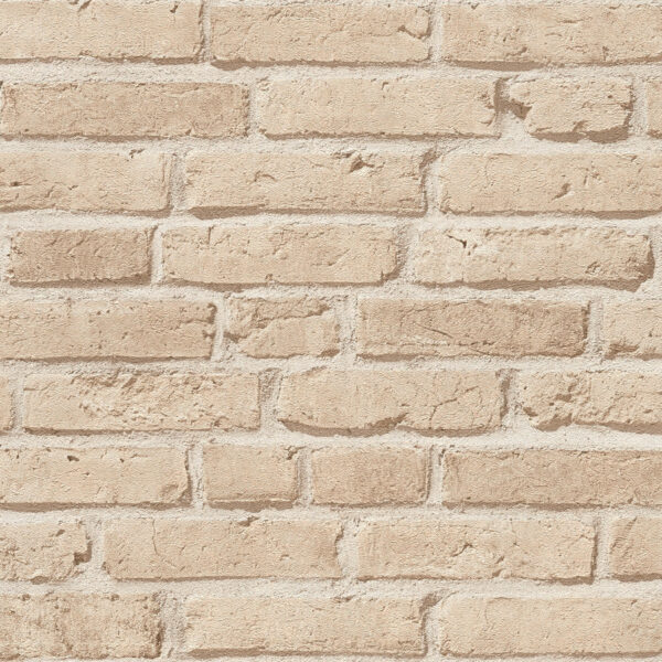 Tapet decorativ Elements cod AS355812