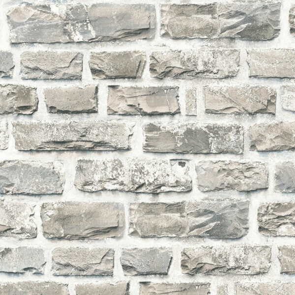 Tapet decorativ Elements cod AS361402