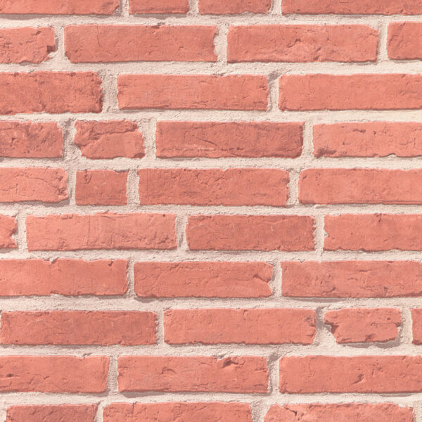 Tapet decorativ Elements cod AS942831