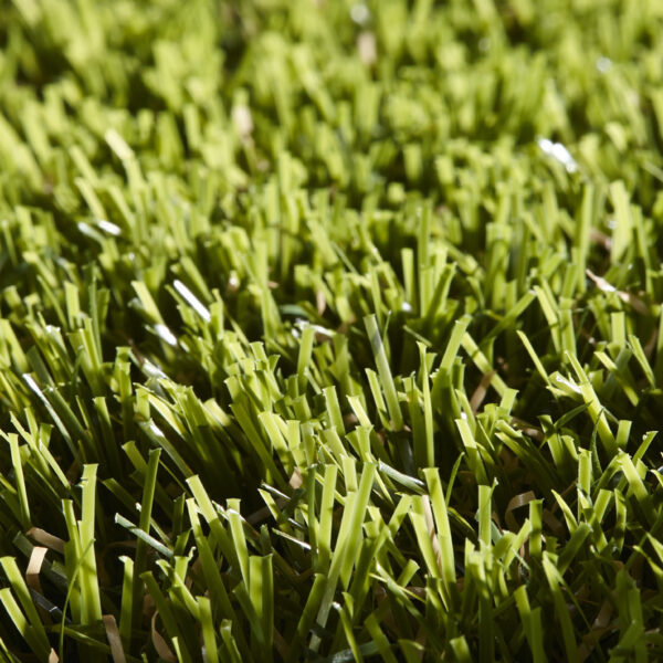 Gazon sintetic verde decorativ Rosemary , înălțime fir 40 mm - Pro Confort Carpet Gazon sintetic verde decorativ Rosemary , înălțime fir 40 mm 3