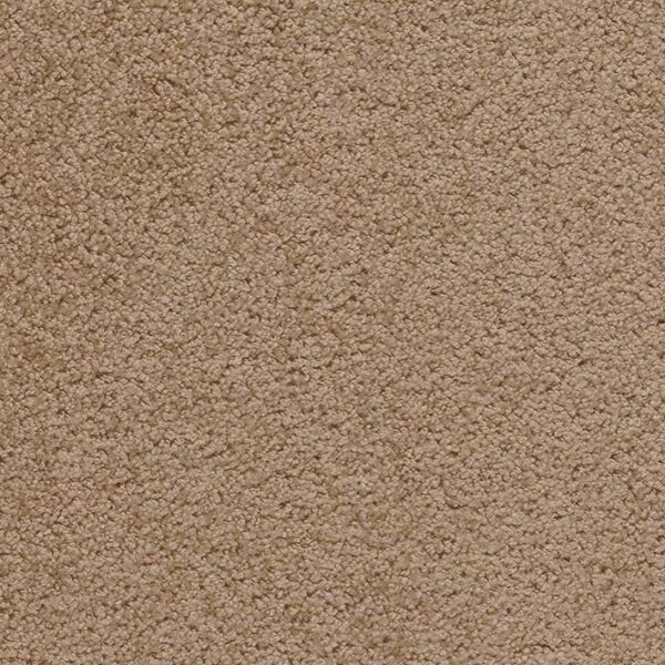 Mocheta pufoasa Bliss bej-maro 34 , fir lung , înălțime 15.5 mm , fir rasucit , pentru interior - Pro Confort Carpet Mocheta pufoasa Bliss bej-maro 34 , fir lung , înălțime 15.5 mm , fir rasucit , pentru interior 3