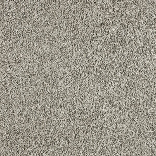 Mocheta pufoasa Sweet Elegance cod 430 , fir lung , înălțime 18 mm , fir rasucit , pentru interior - Pro Confort Carpet Mocheta pufoasa Sweet Elegance cod 430 , fir lung , înălțime 18 mm , fir rasucit , pentru interior