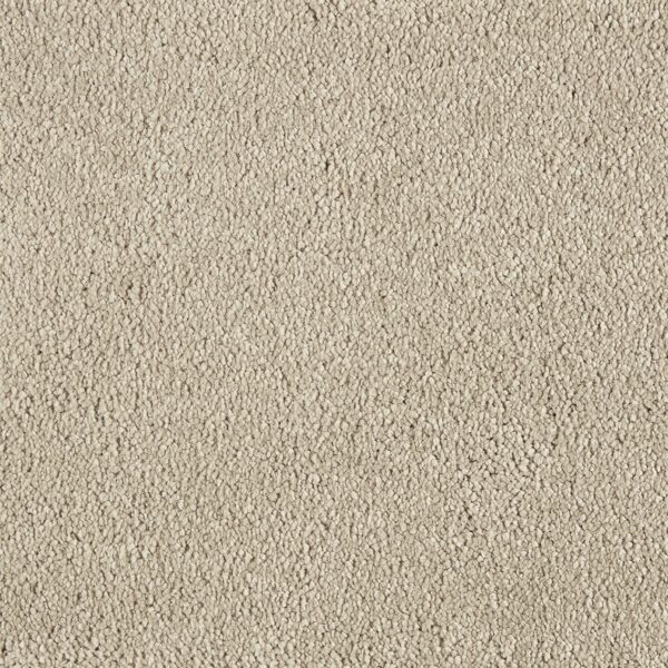 Mocheta pufoasa Sweet Elegance cod 450 , fir lung , înălțime 18 mm , fir rasucit , pentru interior - Pro Confort Carpet Mocheta pufoasa Sweet Elegance cod 450 , fir lung , înălțime 18 mm , fir rasucit , pentru interior