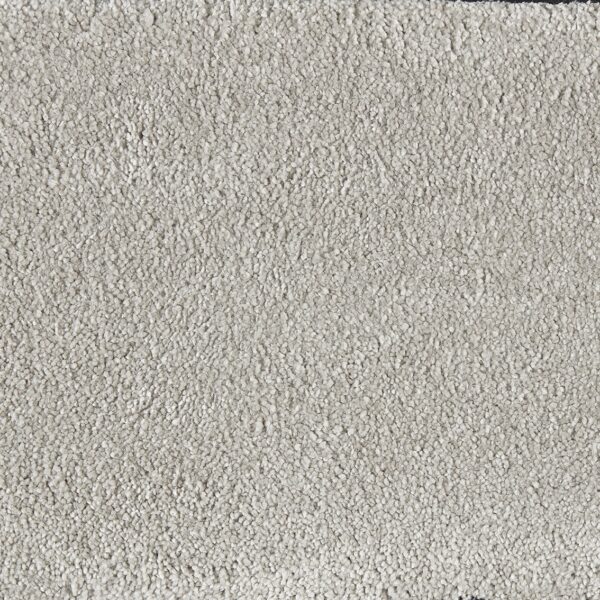 Mocheta pufoasa Sweet Elegance cod 880 , fir lung , înălțime 18 mm , fir rasucit , pentru interior - Pro Confort Carpet Mocheta pufoasa Sweet Elegance cod 880 , fir lung , înălțime 18 mm , fir rasucit , pentru interior