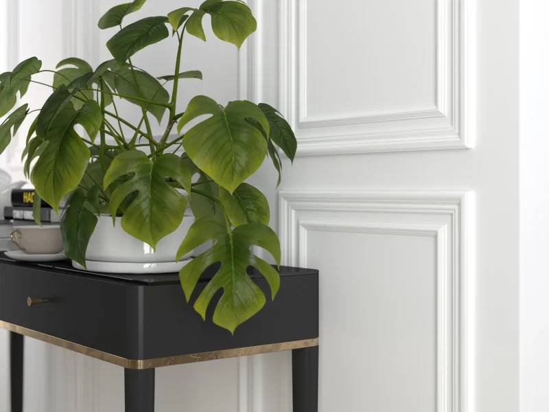 Brau decorativ polimer dur MD003 22X10X2000mm 5
