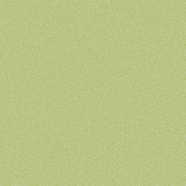 Covor PVC Stella ST10