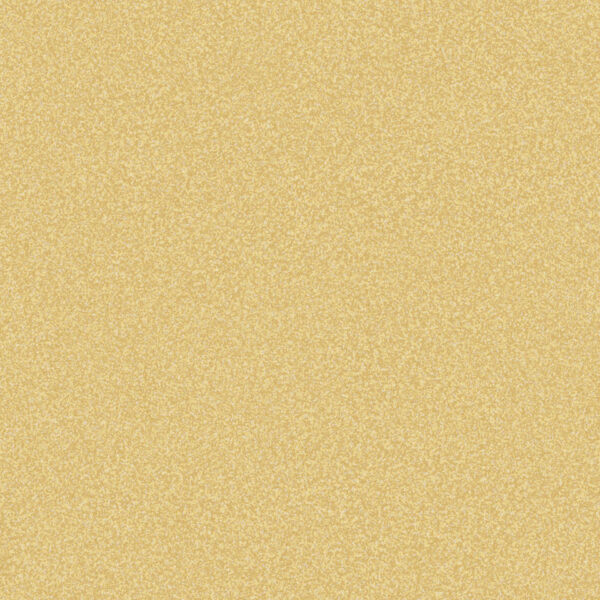 Covor PVC Stella ST2